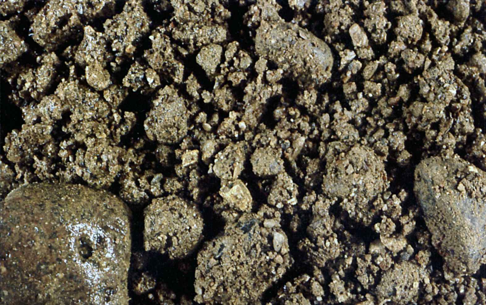 Figur 38 viser morænegrus (af glacial alder). Usorteret, leret, siltholdig, sandet grus med iblandinger af sten.