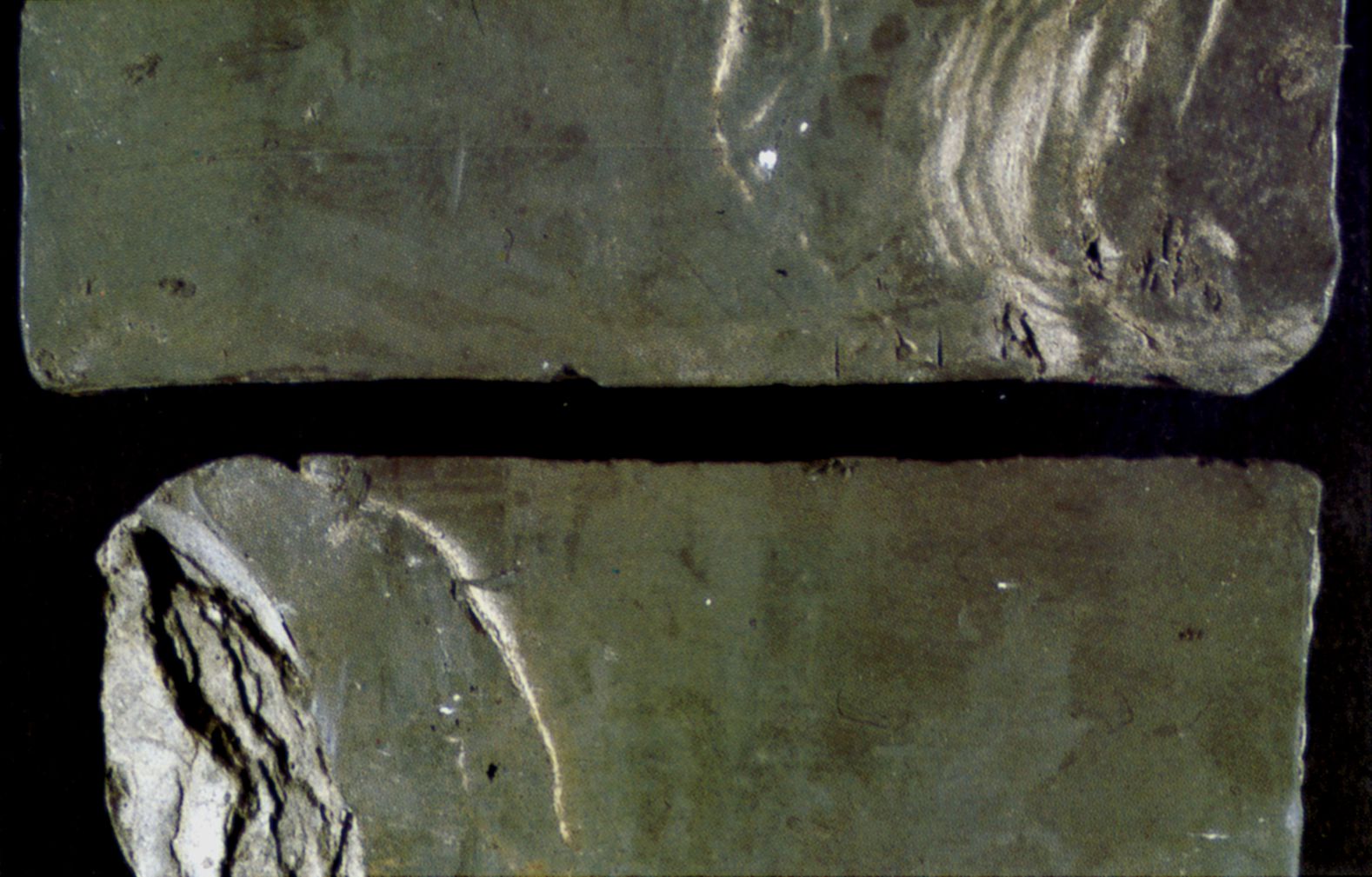 Figur 42 viser Yoldia-ler (af senglacial alder). Velsorteret ler, der er afsat af Ishavet i afsmeltningsperioden.